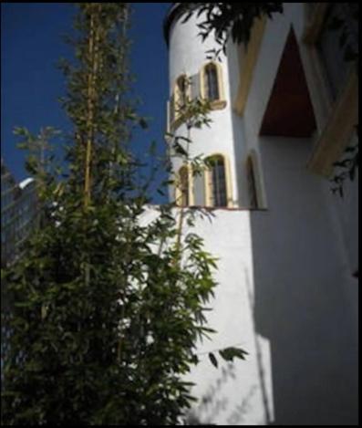 Welcome To Casa Viva Mexico 3-Bedrooms 2-Bathroms 6-Guests Close To Shoping Center & Beach Tijuana Bagian luar foto